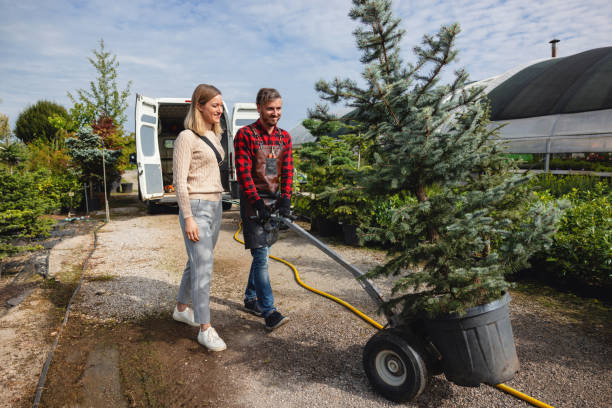 How Our Tree Care Process Works  in  Rocky Ford, CO